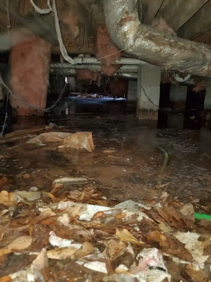 Crawl space flood assessment for Leak Detection & Repair in McFarland